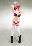 Hakoiri-musume AKANE RYUZOJI dress-up nurse worlds end harem 1/6 Scale Figure